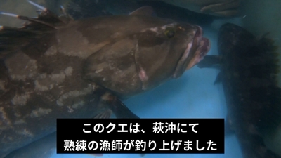 QiDYNUAhlPQsrVqARiDK.jpg?w=940&h=940