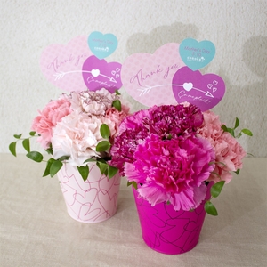 Qimi016hYcEF3TzAqYgI.jpg?w=940&h=940