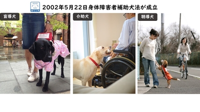 QjFju4IZLmj9qeh2wldl.jpeg?w=940&h=940