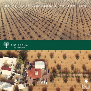 QjtDmqY3sHiV7smdzTV8.jpg?w=940&h=940