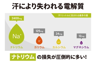 熱中症から日本を救う！ “現場ですぐに使える”熱中症対策レスキュー PF&H「PH500」熱中症対策セット販売開始