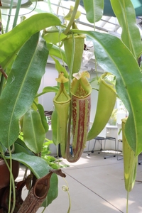 QkD9nK9jSuJ3QmBM3Ztc.jpg?w=940&h=940