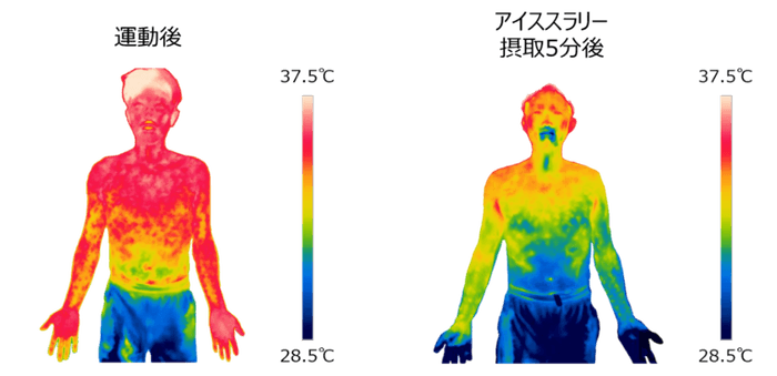 暑熱環境下における運動後のアイススラリー飲用による身体冷却イメージ (撮影協力:広島大学 長谷川博教授)