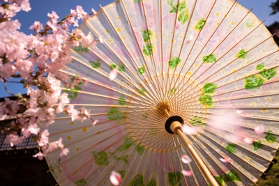 QkZJn2F7PuL2amT50JHb.jpg?w=940&h=940