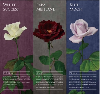 QklhmyTiq5jmNLnYx1Vl.jpg?w=940&h=940