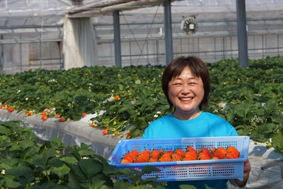 QmKFS3HL6WdIUaiyr8dM.jpg?w=940&h=940