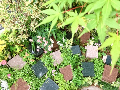 QmeDHqgoV8xoEATIp96i.jpg?w=940&h=940