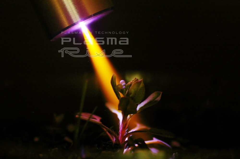 写真1.植物に照射しても焦げない低温プラズマ