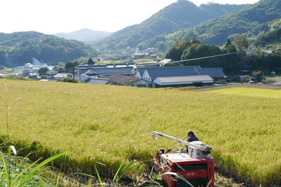 QomS9umTCwRzlvp85Rh1.jpg?w=940&h=940