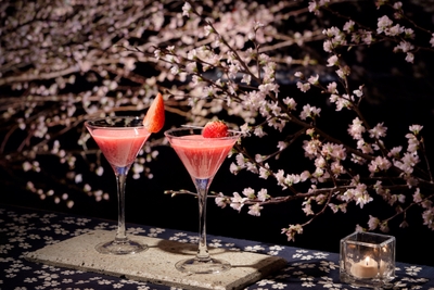 Qp37PNilby2PocD2A4n2.jpg?w=940&h=940