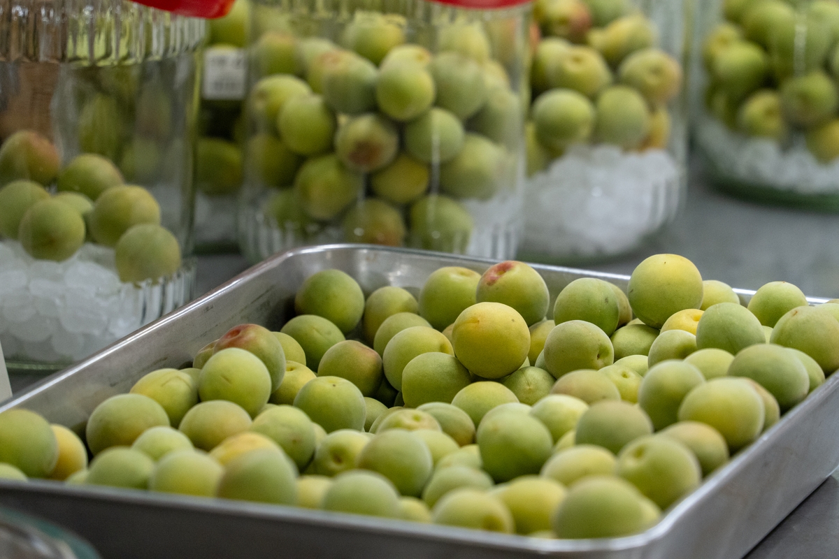 【宮城県・一の坊リゾート】新酒解禁!「自家製梅酒」7月1日提供開始!オールインクルーシブで愉しむ夏の味わい(仙台・作並温泉ゆづくしSalon一の坊)