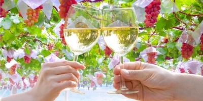 QqiVkAIjEObs3zgPc8dl.jpg?w=940&h=940