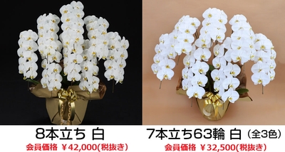 Qr2ScMzQ7m97Cg8BNwXr.jpg?w=940&h=940