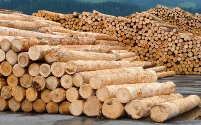 日本木材パルプ市場