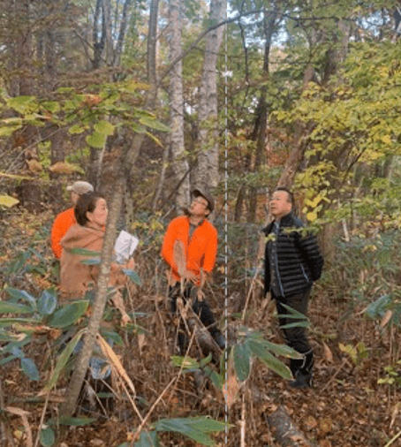 『Afan Heulwen Woodland by Hikari Miso』を視察するひかり味噌󠄀(株)林社長