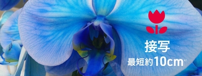 QtFq6fdwVwCFUXlXUdWx.jpg?w=940&h=940