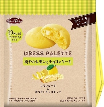 レザーのホールチョコレートケーキ♡レモンとベリー　一点モノです レザーのホールチョコレートケーキ♡レモンとベリー 一点モノです