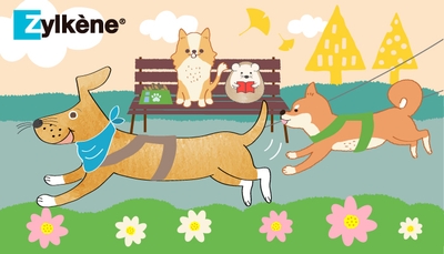 QtZ338ZEIAZr7UDEQHCZ.jpg?w=940&h=940