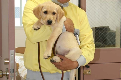 QtkZlIka00t9zbXTeN71.jpg?w=940&h=940