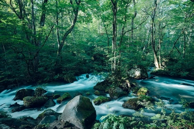 QtuJRBDJNlTPW6nc1TMi.jpg?w=940&h=940