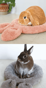 Qu8oM59u9evgg4LFhRkE.png?w=940&h=940