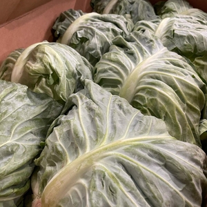 QuBFM701venjtefxvUx0.jpg?w=940&h=940