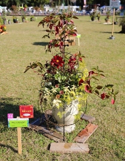 「流るる 無伴奏チェロ組曲」 阿須間 浩子