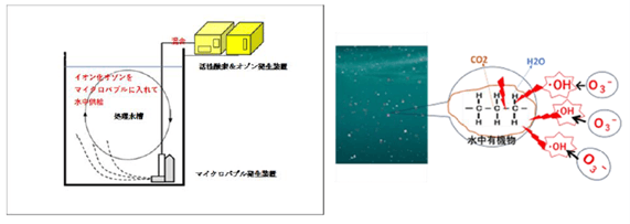画像5 W-Gaia設置と処理説明