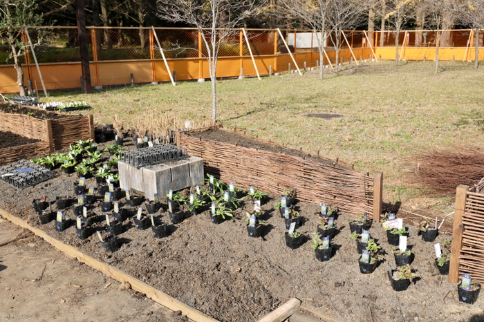 西武造園株式会社 植栽風景