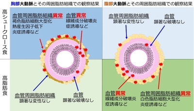Qyn7mep4QgvI7E6Bn45x.jpg?w=940&h=940