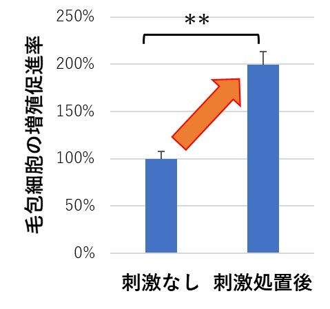 図2:細胞への刺激が、毛包細胞の増殖を促進 AGA:男性型脱毛症 FAGA:女性型脱毛症