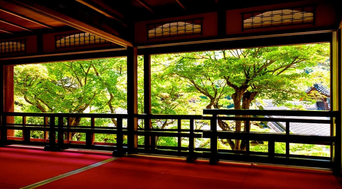 上書院特別公開 6/10～7/2