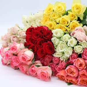 規格外のローズ