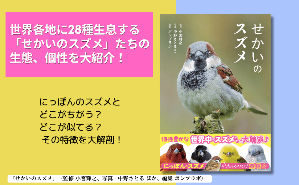 世界中で愛される28種のスズメ。その表情、しぐさ、個性を大紹介！『せ