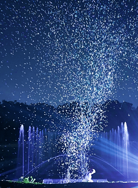 バブルミネーション