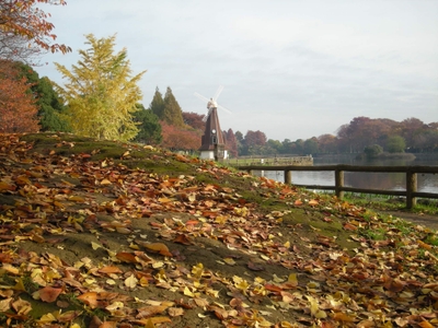 R5KxGo16uEYoemcd8U2u.jpg?w=940&h=940