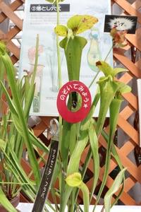 R6uQiEopN6oe7aQ3keXE.jpg?w=940&h=940