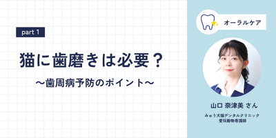 R7S5Q1gkpSY0TvbEoUgT.png?w=940&h=940