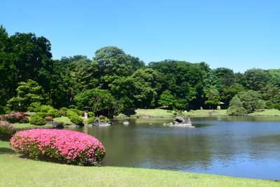 R7dDO66DPw5vLZZXyXIK.jpg?w=940&h=940