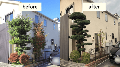 庭木の剪定