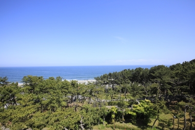 R8e9ySZRFJIRqFboNRmM.jpg?w=940&h=940