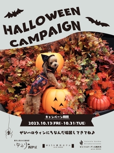 RA73gF6OGC3iqtqG6usi.jpg?w=940&h=940