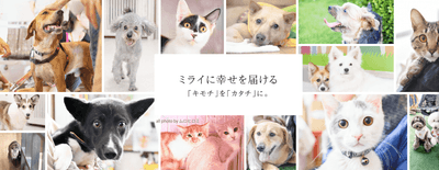 RBoEKh7gRgJVE0TqBZLF.png?w=940&h=940