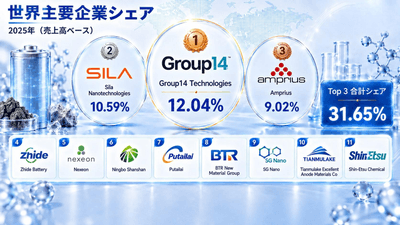 図. 世界の固体電池用シリコン-カーボン負極材料市場における上位11社のメーカーランキングおよび市場シェア