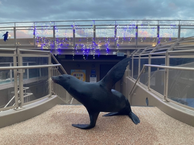 RCotnSrPoJ5SONBW7A3y.jpg?w=940&h=940