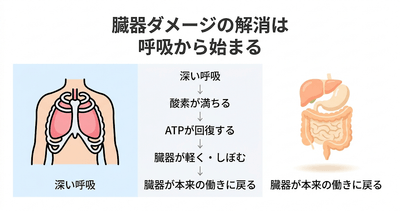 RCryMDMdE4t1LQxHuDWp.png?w=940&h=940