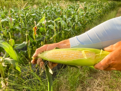 RDCvNVT0pfTYk2G8E9XT.jpg?w=940&h=940