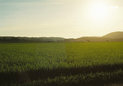 RGWsmgTWAClkKW1MXKqm.png?w=940&h=940