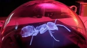 RHWiZN2NJJWxlt2hDUIG.jpg?w=940&h=940