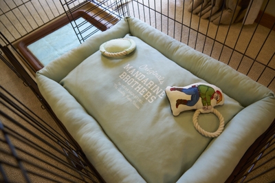 愛犬が落ち着いて過ごせる